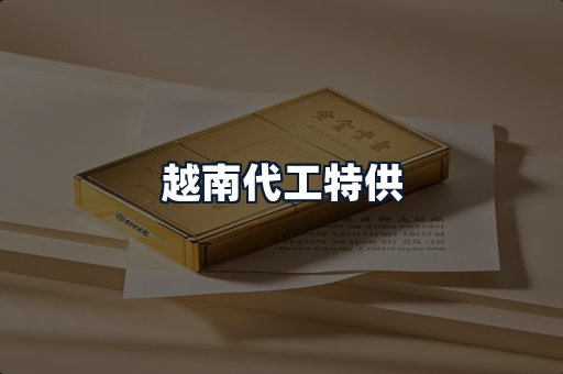 越南代工特供